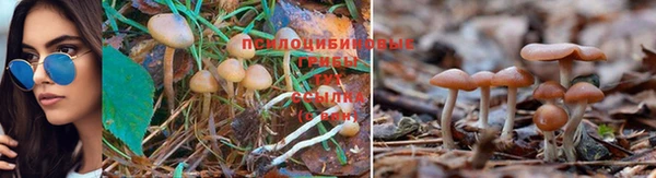 кокаин Алексин